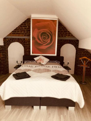 Betongold Studio Wohnung